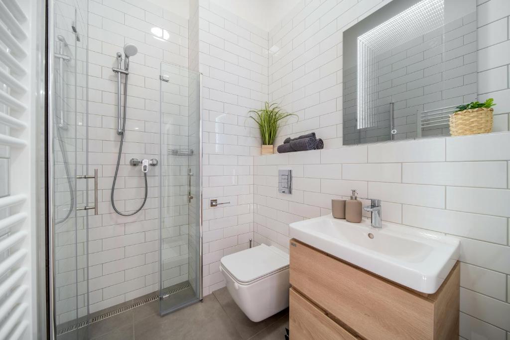 Internesto Brno Vlhka 9 - 8