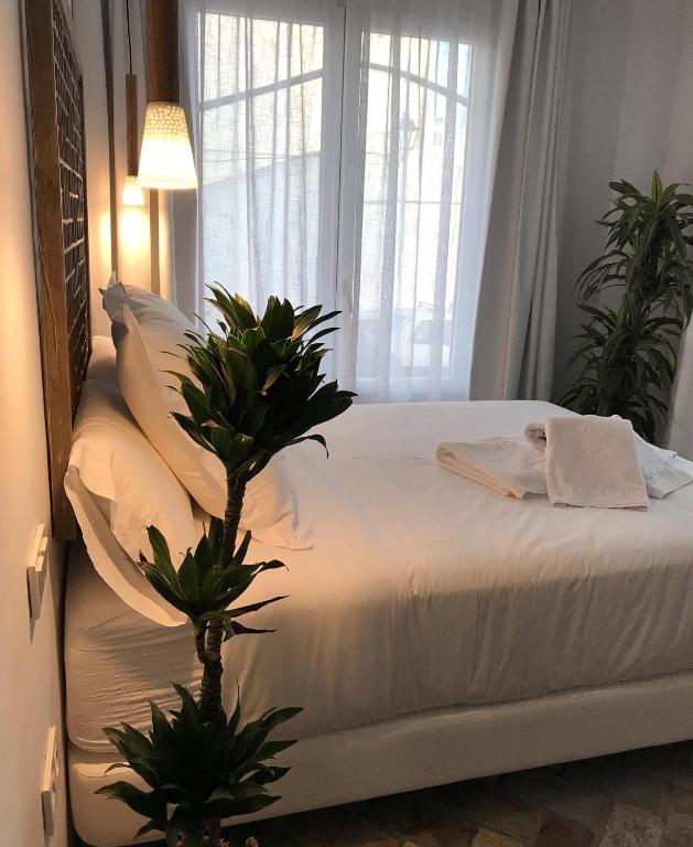 Casapuerta El Refugio - 15