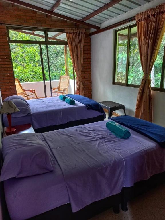 Postel nebo postele na pokoji v ubytování Eco Hotel Entre Ríos