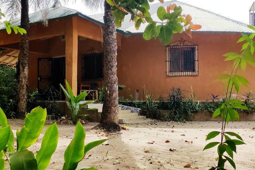 uma casa com uma palmeira em frente em Complete House in the jungle, near the sea. em Kafountine