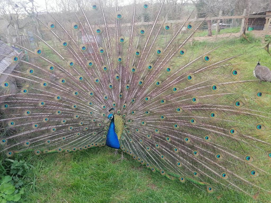 Fotografie z fotogalerie ubytování Frairie Du Divit v destinaci Pontivy