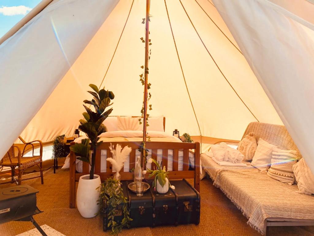 Zimmer mit einem Zelt mit einem Sofa und einem Tisch in der Unterkunft Fen meadows glamping - Luxury cabins and Bell tents in Cambridge