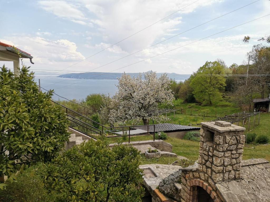 Příroda nedaleko apartmánu