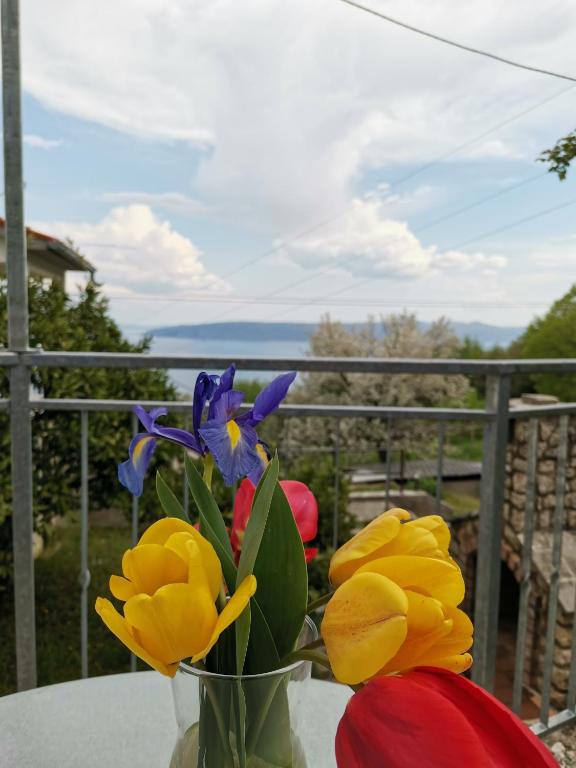 Příroda nedaleko apartmánu