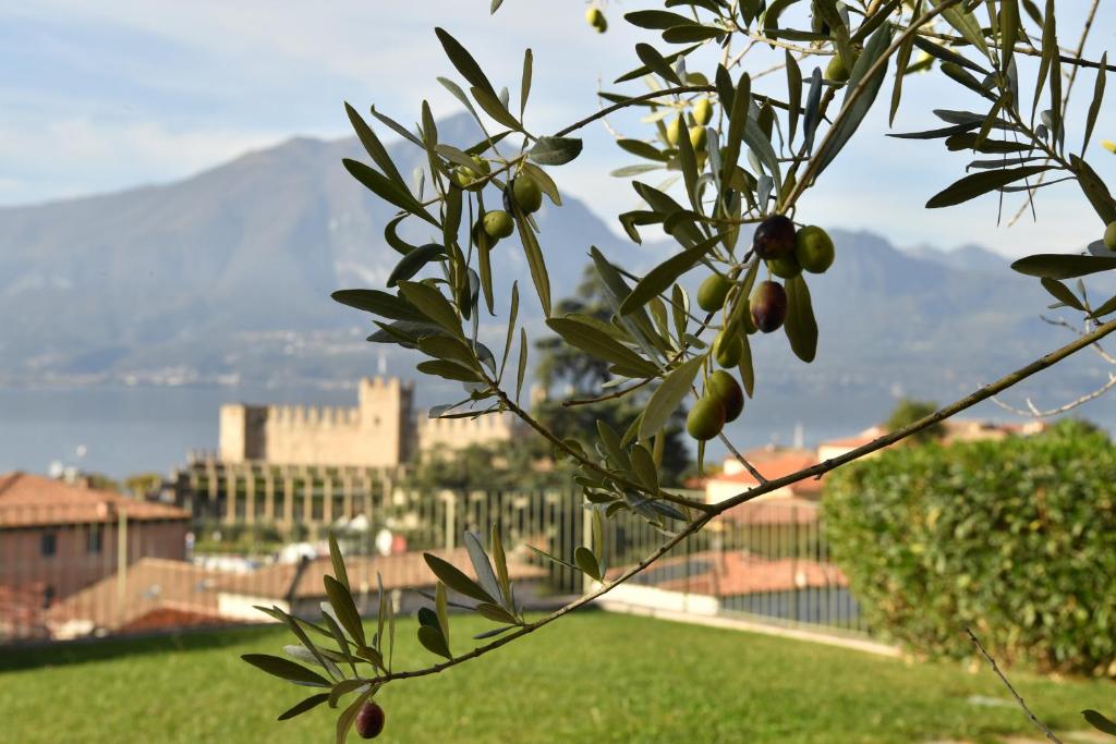 Residence Ca Del Lago - 16