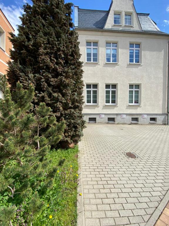 ein großer Baum vor einem großen Haus in der Unterkunft Geräumiges Stadtapartment in Lichtenstein