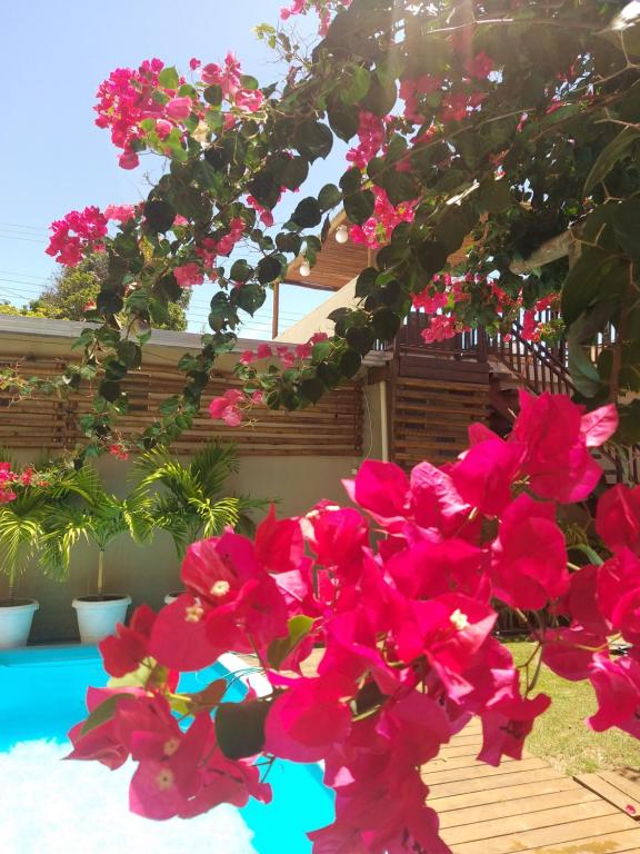 Zahrada ubytování Muriú Beach Flat