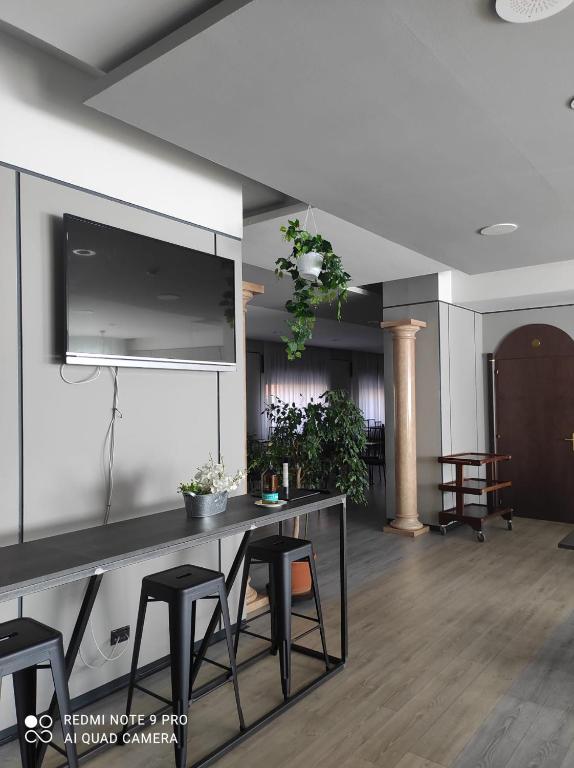 TV a/nebo společenská místnost v ubytování Hotel Bareta