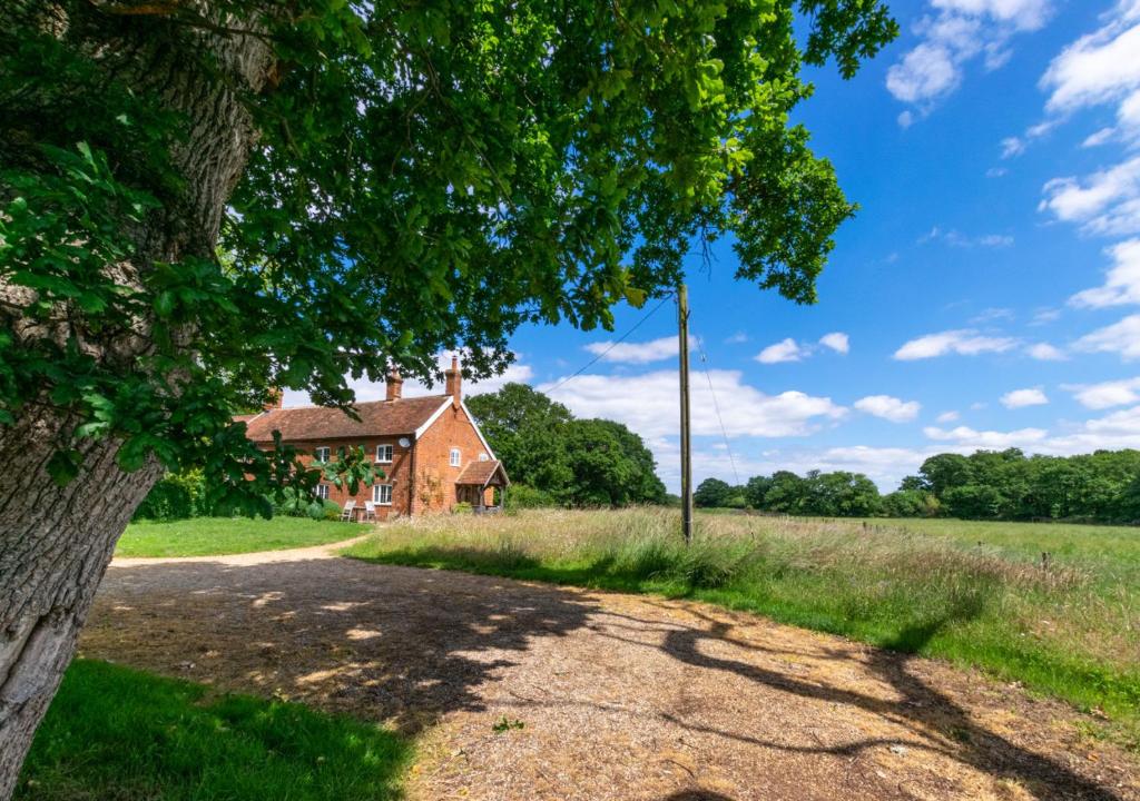 an empty road in front of a house with a tree at Boot Cottage in Sudbourne