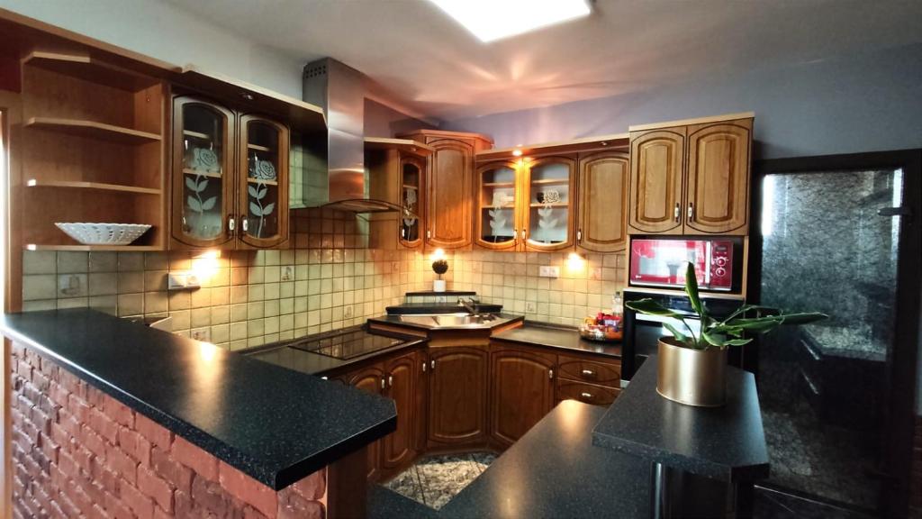 A kitchen or kitchenette at Penzion Ivka