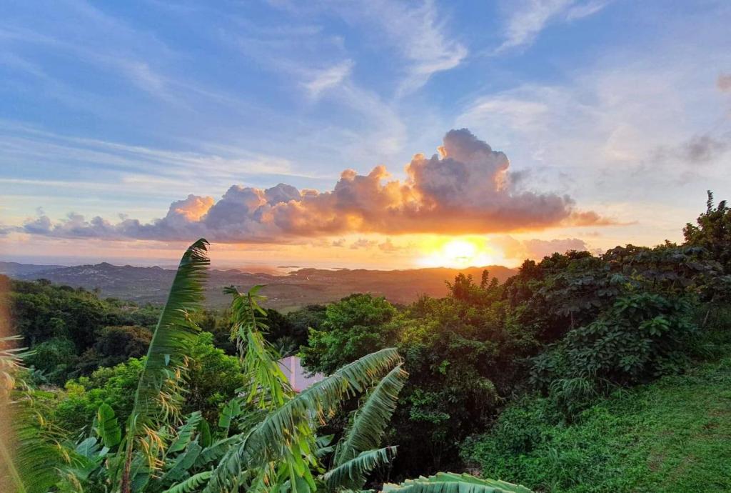 um pôr-do-sol sobre uma floresta com o sol no céu em La Perle Caribéenne em Le Lamentin