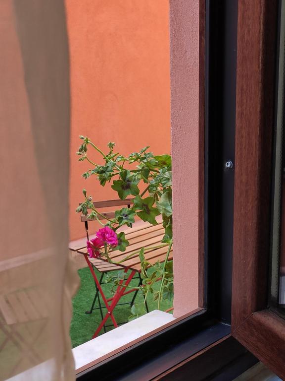 Casta Diva Holiday Rooms - 6