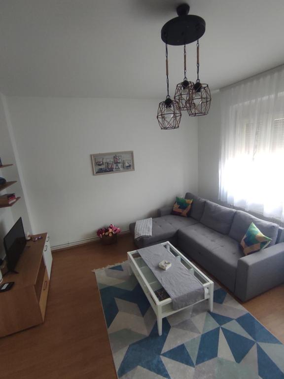 トゥズラにあるWelcome Apartmanのソファとテーブルのあるリビングルーム
