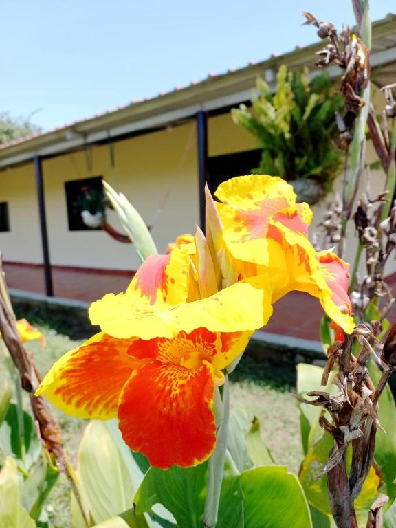Zahrada ubytování Hospedaje Casa de Campo La Herrería, Desierto de La Tatacoa