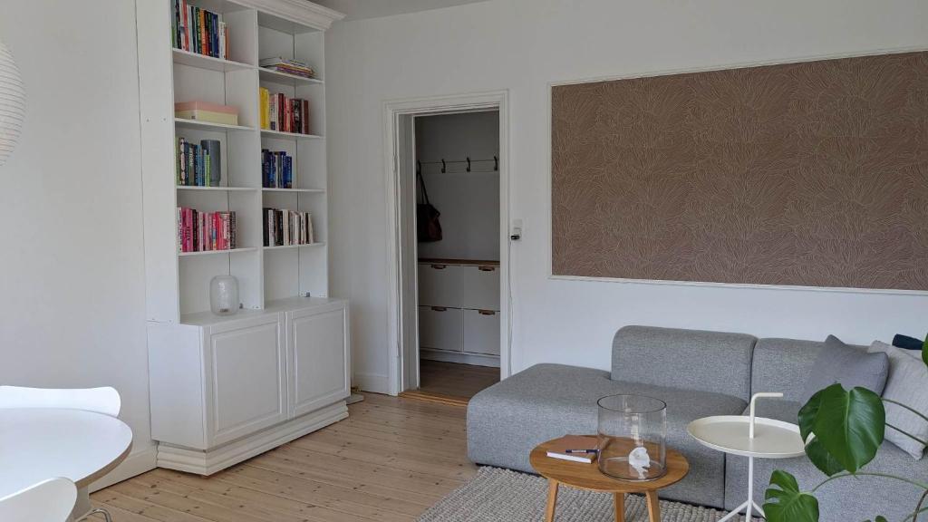 コペンハーゲンにあるCozy newly renovated apartment in Copenhagenのリビングルーム(ソファ、本棚付)
