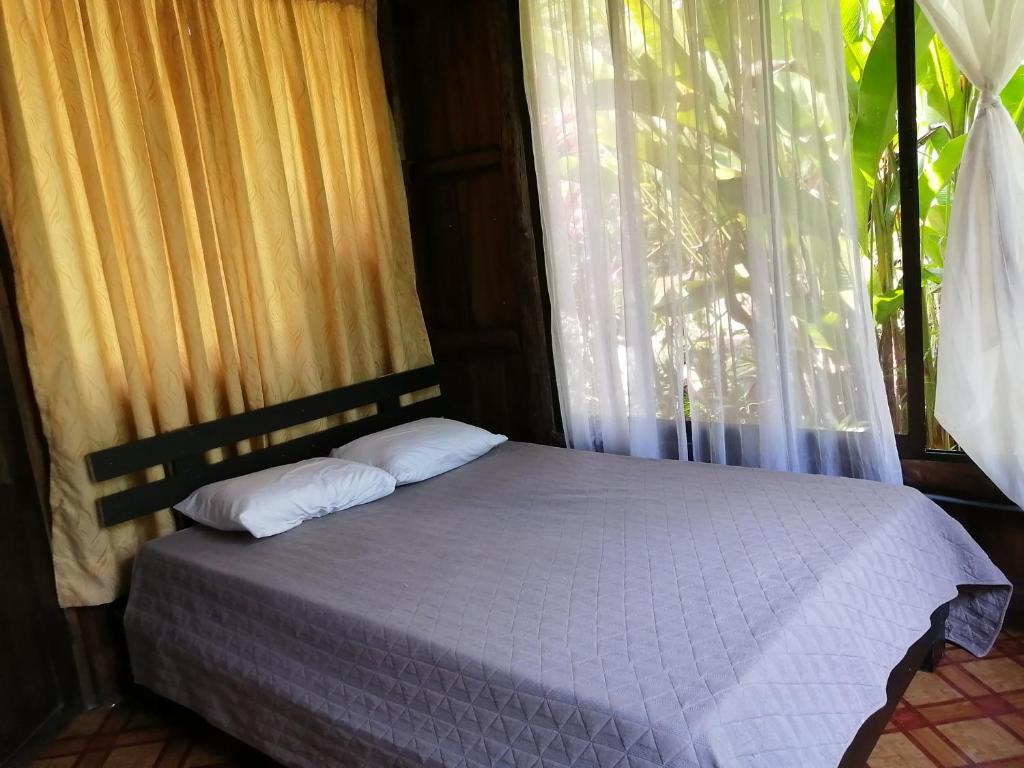 Habitación colibrí