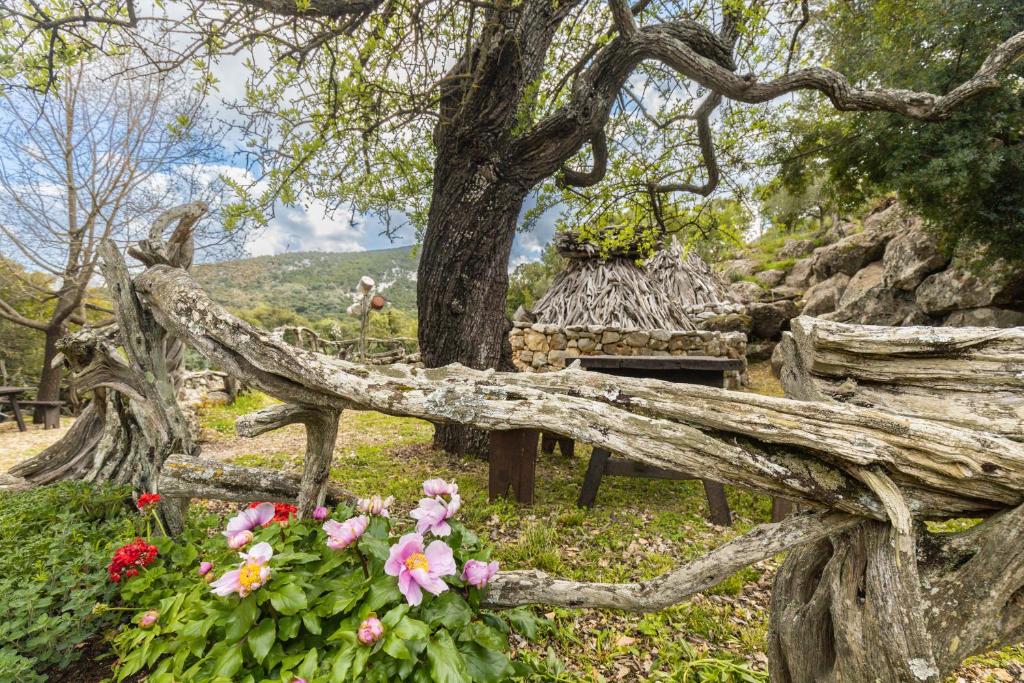 Paesaggio naturale nelle vicinanze of country house