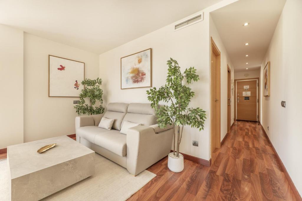 Luxury apartments in Barrio Palacio - 16