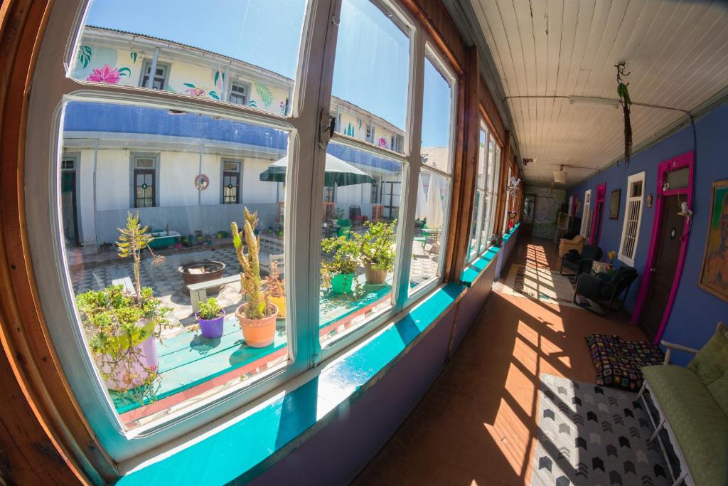 una stanza vuota con finestra e piante in vaso di Bichon La Casa Hostal a Pichilemu