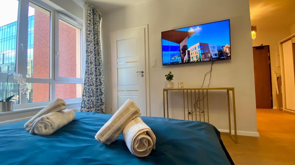 Televízia a/alebo spoločenská miestnosť v ubytovaní Apartament Long Island Gdańsk