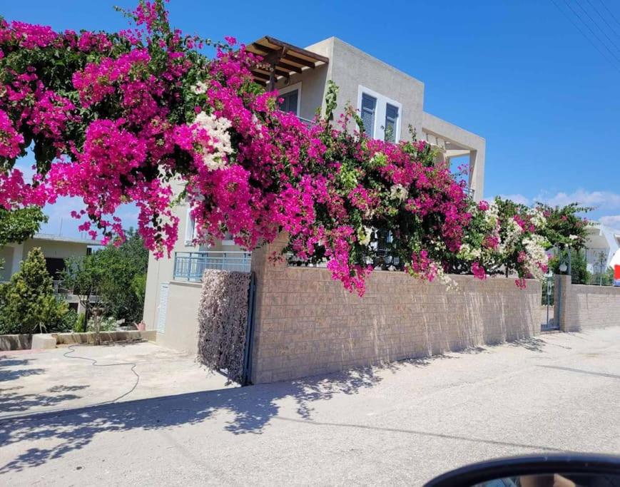 a building with pink and white flowers on a wall at Μπουκαμβίλια/Bougainvillea tree in Vaia