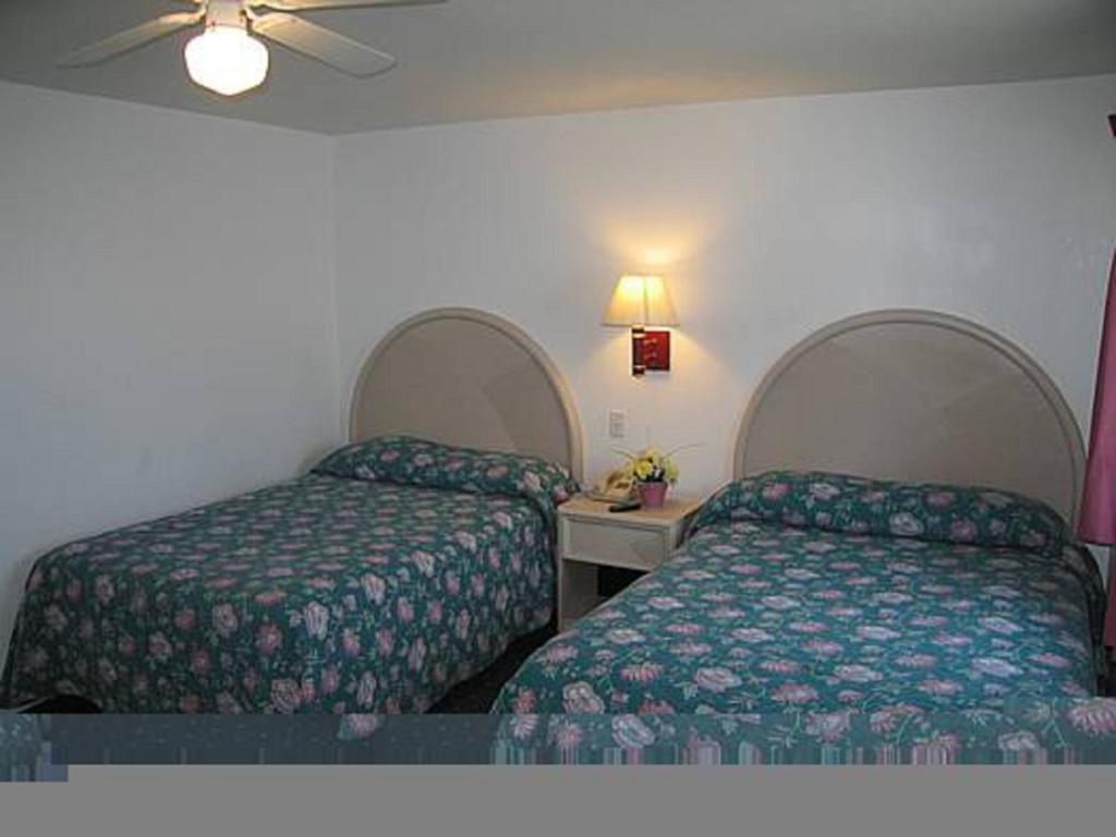Postel nebo postele na pokoji v ubytování Apollo Motel