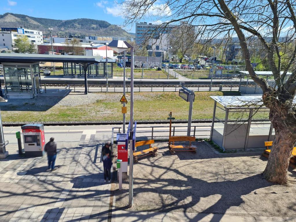 Příroda nedaleko hotelu