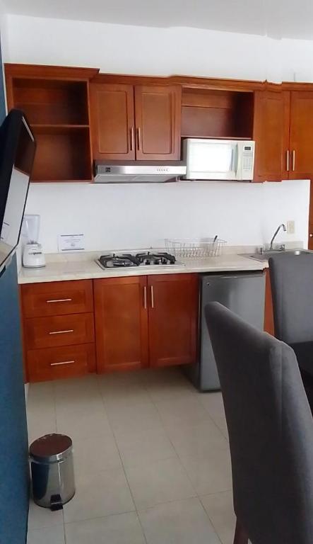 Kuchyň nebo kuchyňský kout v ubytování Hotel Real Villa
