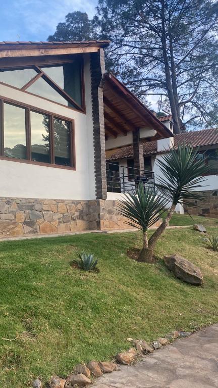 una casa con una palmera delante de ella en Cabañas Santorito, en Mazamitla