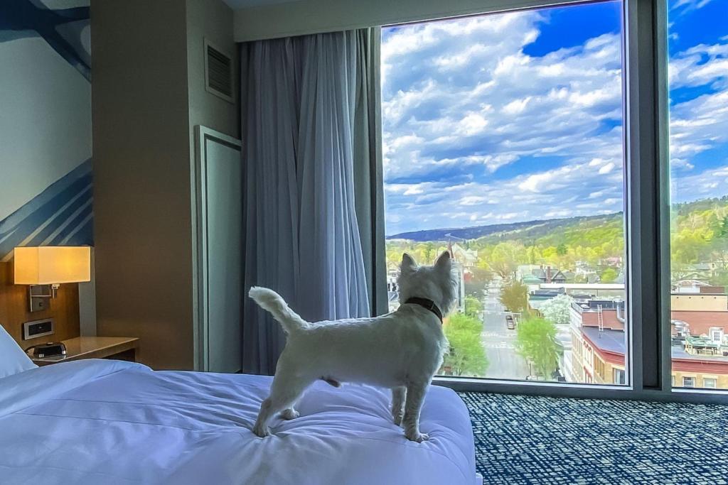 Postel nebo postele na pokoji v ubytování Ithaca Marriott Downtown on the Commons