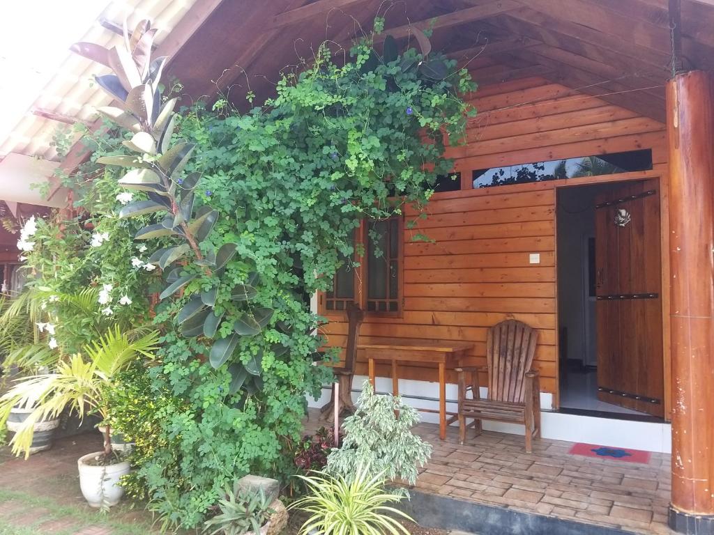 Zahrada ubytování DOT BEY beach cabana