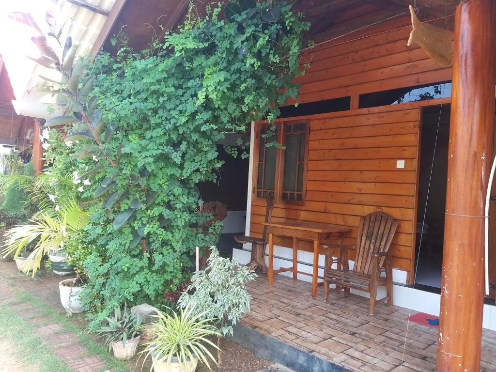 Zahrada ubytování DOT BEY beach cabana