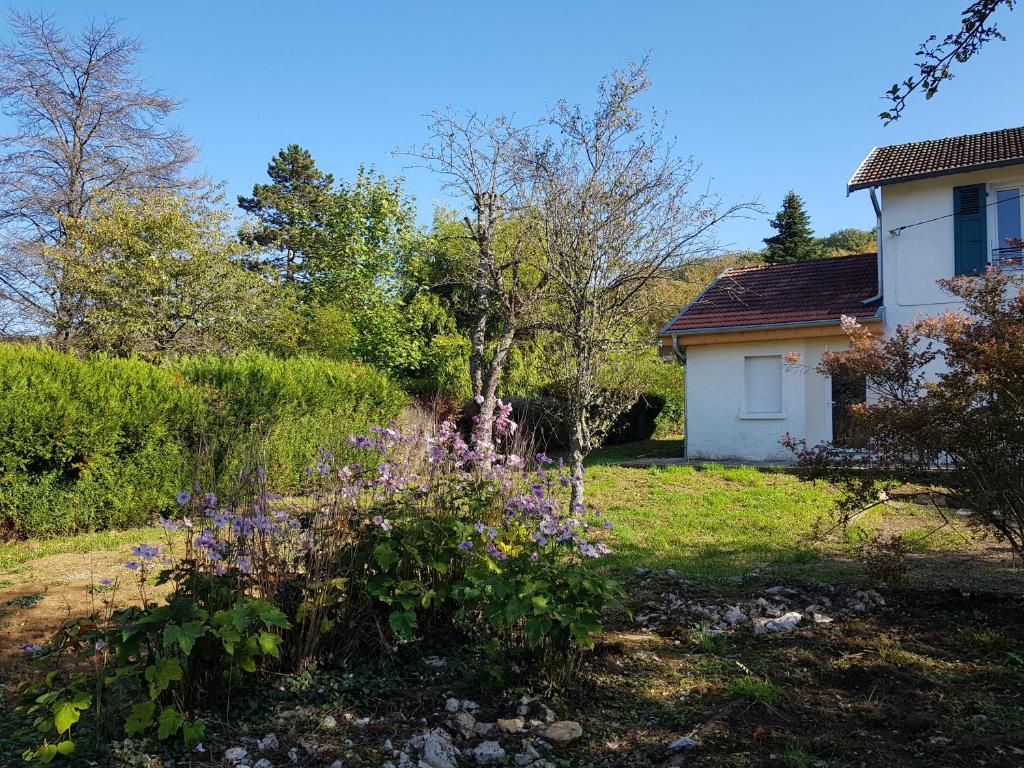Vonkajšia záhrada v ubytovaní La Petite Sommière