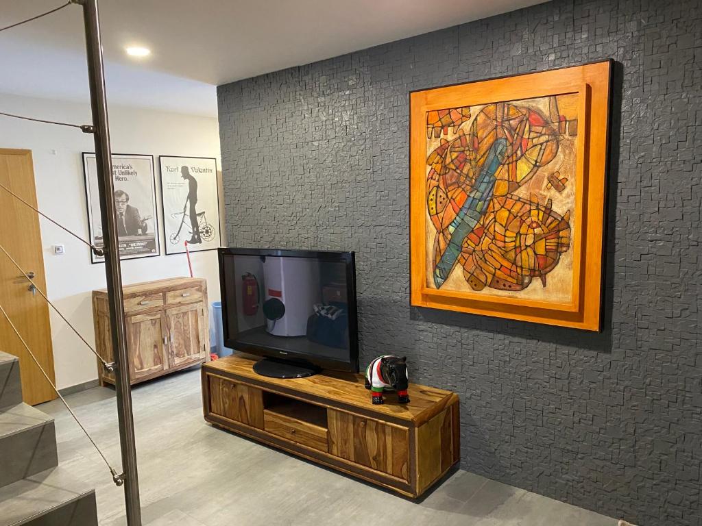 TV a/nebo společenská místnost v ubytování Penzion Za radnicí