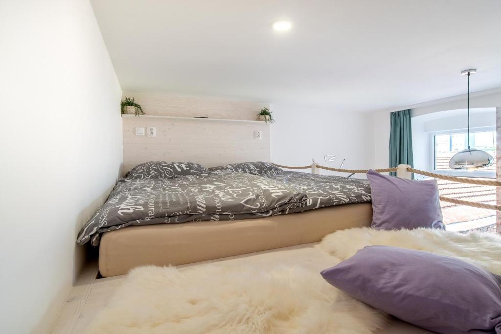 Internesto Brno Vlhka 9 - 5