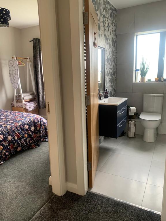 ein Bad mit einem Bett, einem Waschbecken und einem WC in der Unterkunft Room with a view in Newry