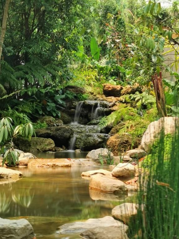 Proud Phu Fah Muang Chiang Mai - Resim 20