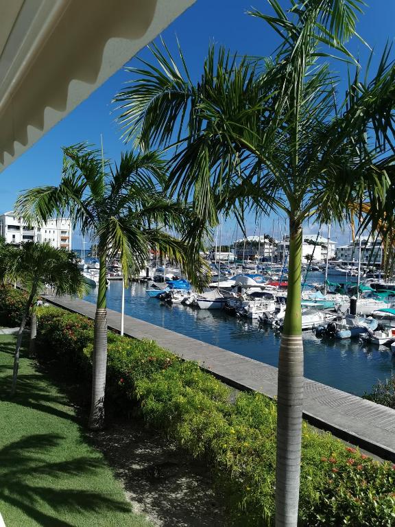 due palme accanto a un porto turistico con barche di Trois mats a Saint-François