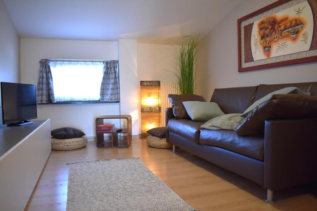 sala de estar con sofá de cuero marrón y TV en Meridiana 2, en Pradamano