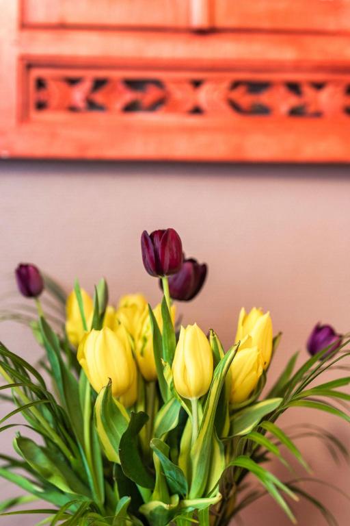 Garlande Hôtel Avignon Centre - Resim 28