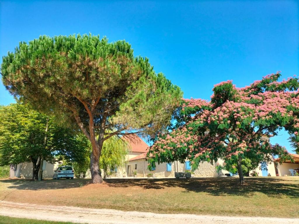 two trees with pink flowers in front of a house at le Pigeonnier gersois in Condom