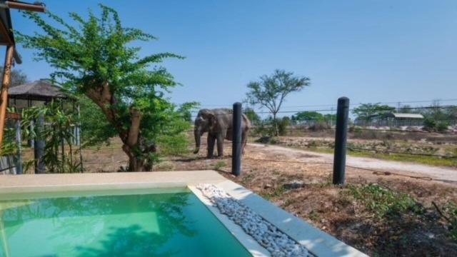 Bazén v ubytování Elephant View Camp nebo v jeho okolí