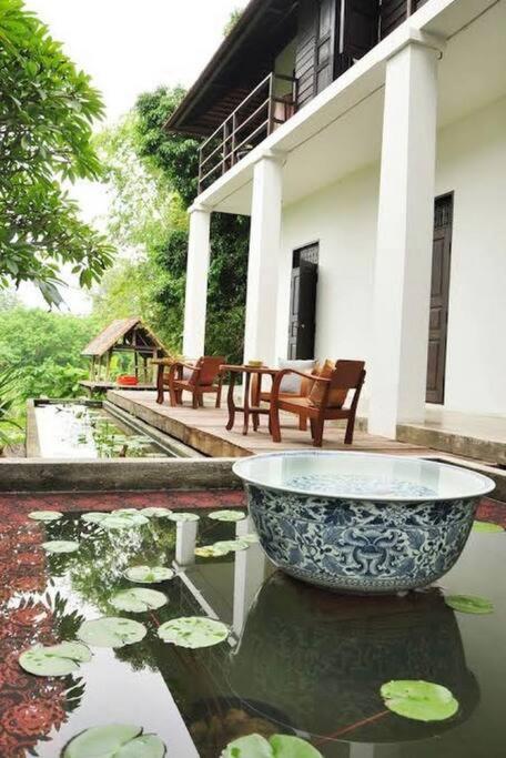 Zahrada ubytování Private Villa88 Groups & families in Chiang Mai