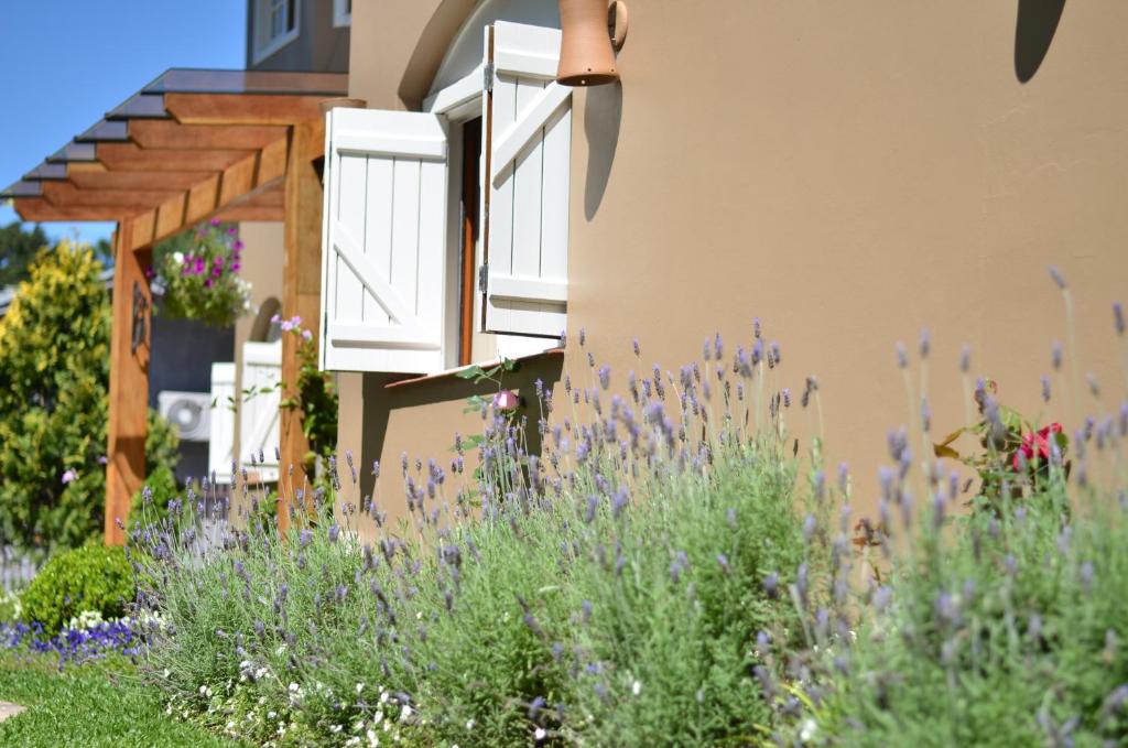 Pousada La Lavande  Pousada La Lavande