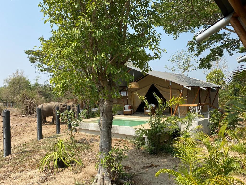 Zahrada ubytování Elephant View Camp