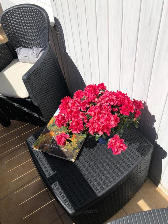 Апартаменты Юрмала Jūra في يورمالا: كرسي الخوص الأسود مع الزهور الحمراء عليه