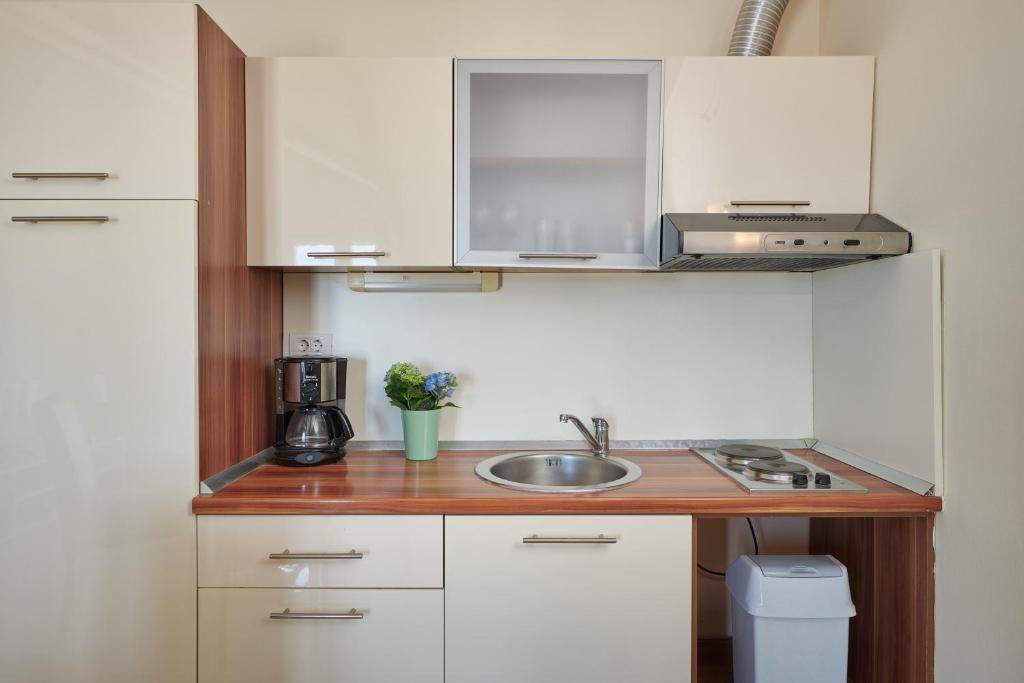 Kuchyňa alebo kuchynka v ubytovaní Dubrovnik View Apartments