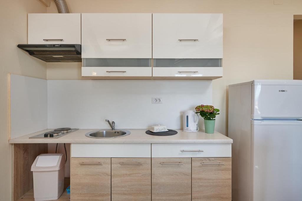 Kuchyňa alebo kuchynka v ubytovaní Dubrovnik View Apartments