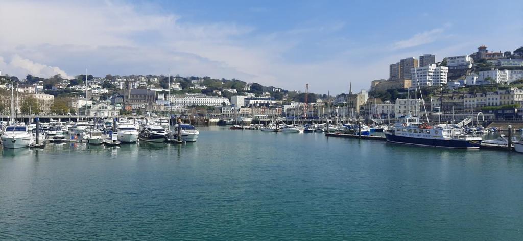 Um monte de barcos estão ancorados num porto. em Rare luxury Harbourview apartment sleeps 6 em Torquay