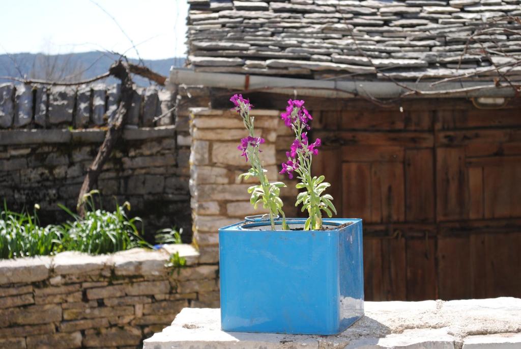 Fotografie z fotogalerie ubytování Orestis House v destinaci Ano Pedina